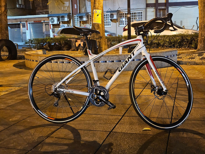 GIANT AnyRoad 2 公路車 礫石車 捷安特！