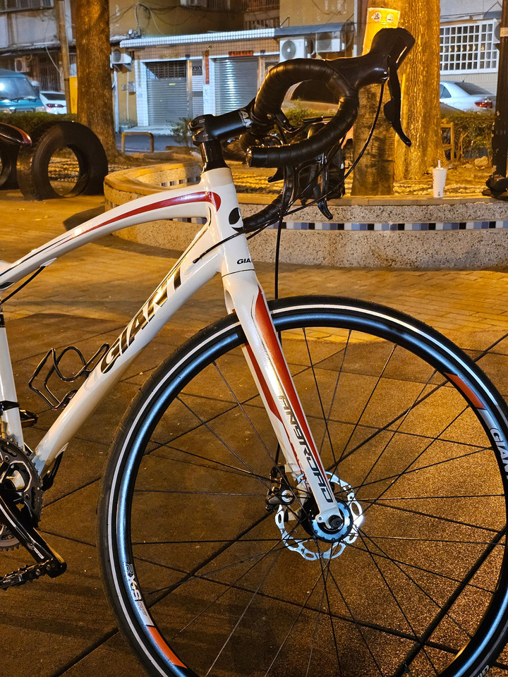 GIANT AnyRoad 2 公路車 礫石車 捷安特！