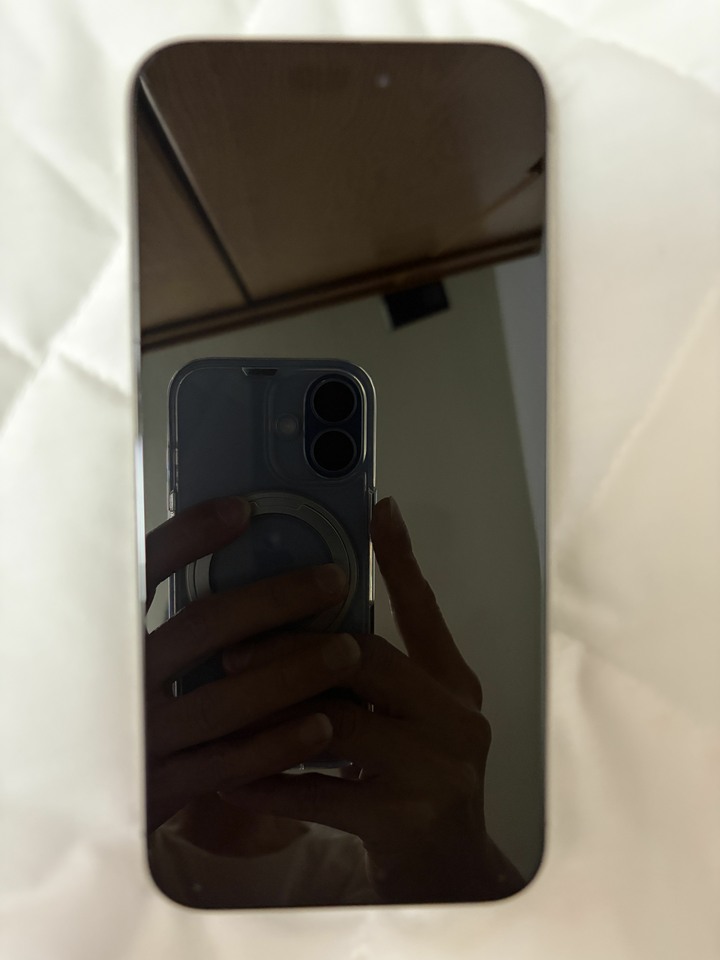 稀有iphone 15 pro max 1TB
