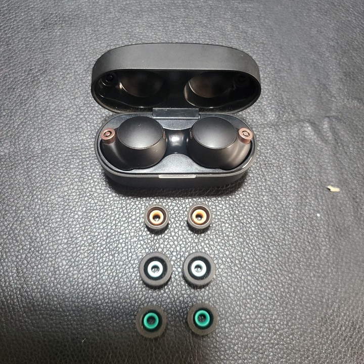 sony WH-1000X4