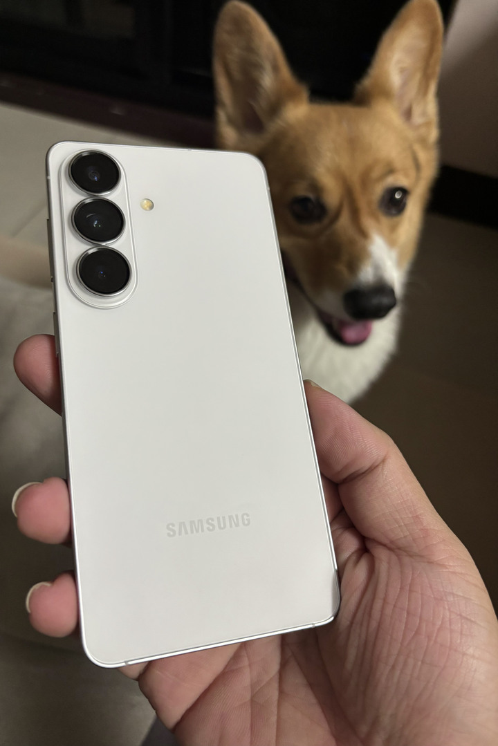 Samsung S26 12+256G 保固27/05