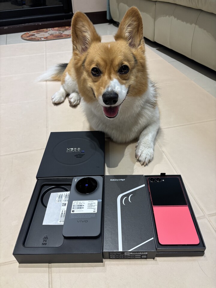 已售出-- VIVO X300 12+256G 黑色 5/11開機