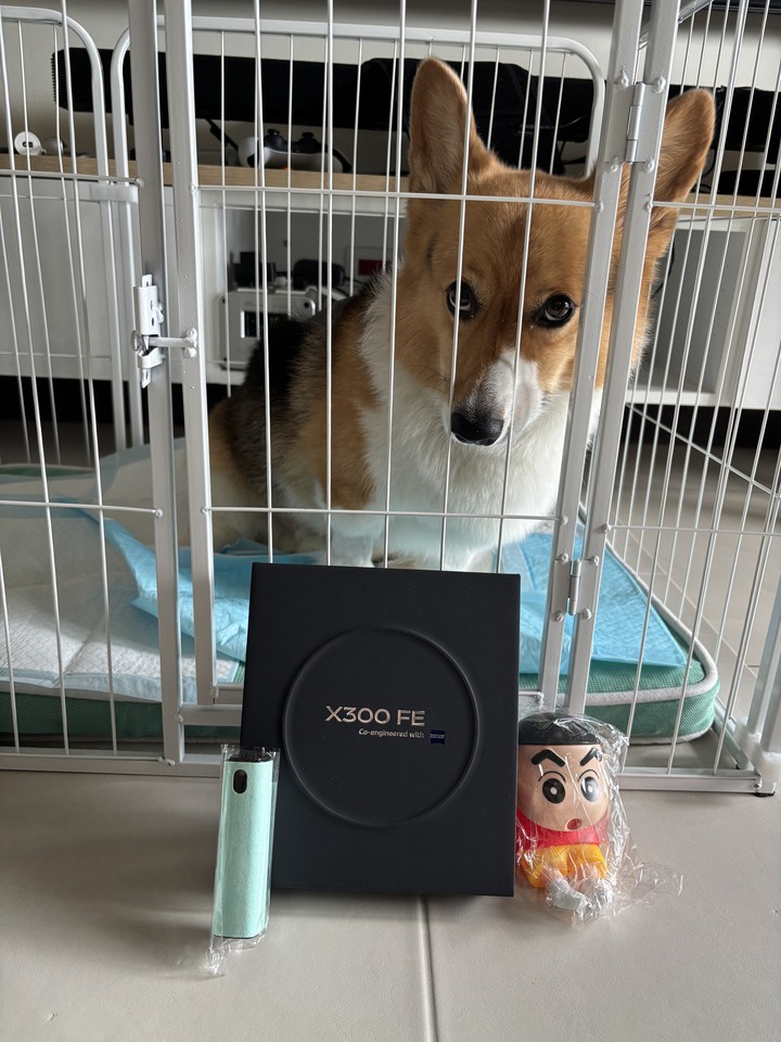 8/12續約  VIVO X300 FE 12+256G