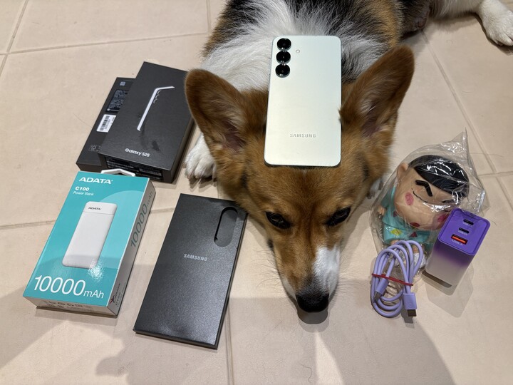 Samsung S25 12+256G 保固27/06