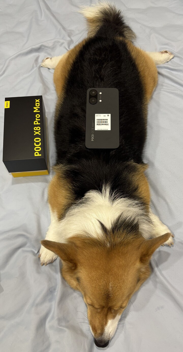 POCO X8 PRO MAX 12+512G  黑色