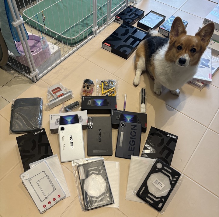 Y700無極 12/256G 剩白色