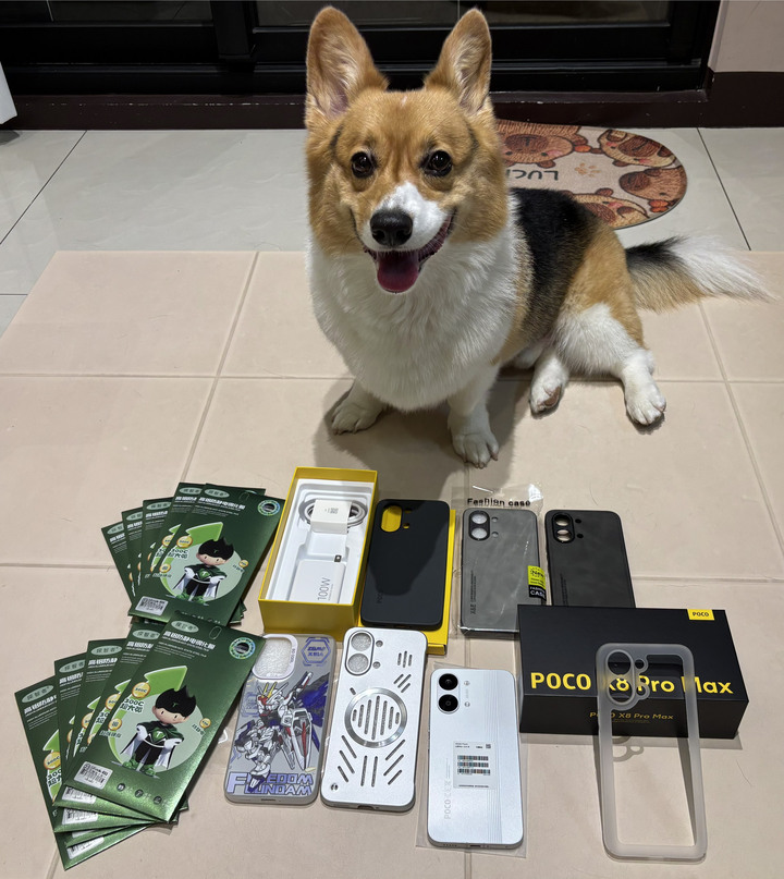 POCO X8 PRO MAX 12+512G