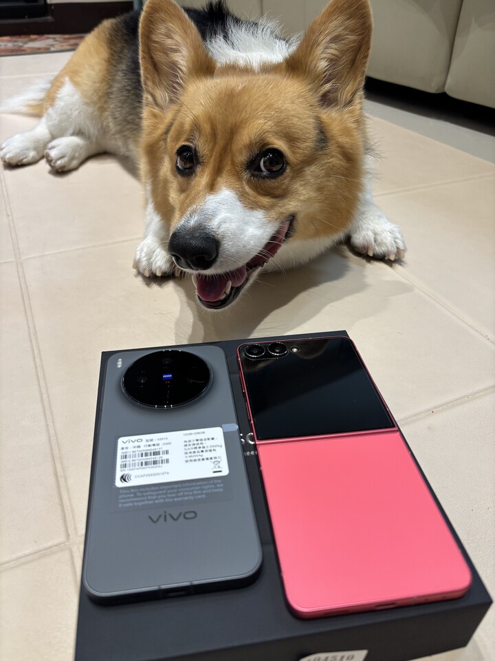 已售出-- VIVO X300 12+256G 黑色 5/11開機