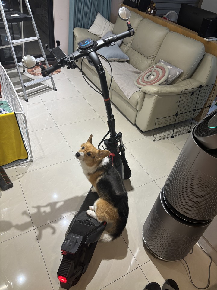 SEGWAY ZT3 PRO "台版" 2026.1月 電動滑板車