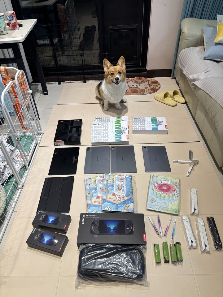 聯想 小新PAD PRO 12.7 8+128G 舒適版