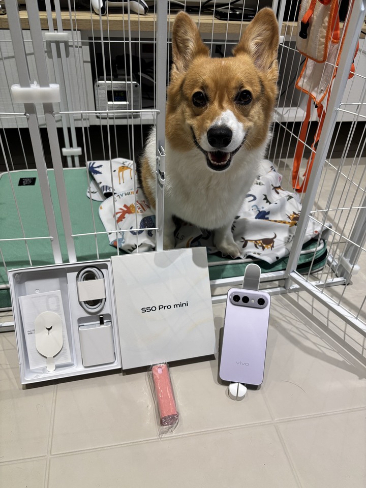 秒殺售出~~VIVO S50 PRO MINI 12+512G (同X300FE)