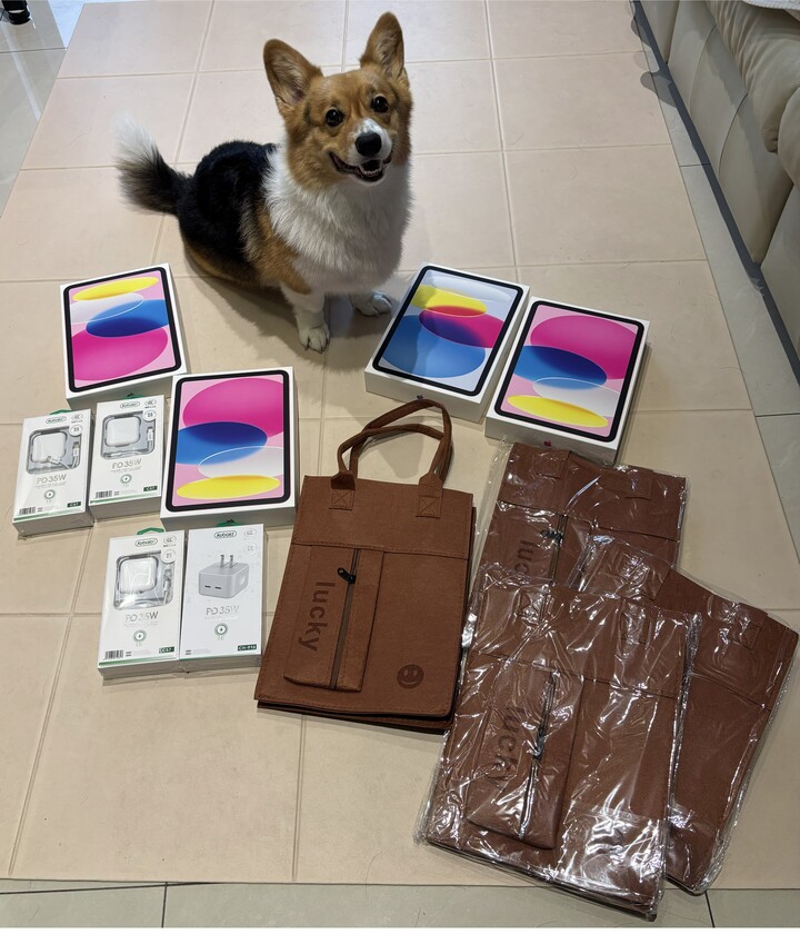 全新 IPAD 11 (A16) 128G 粉紅色/藍色