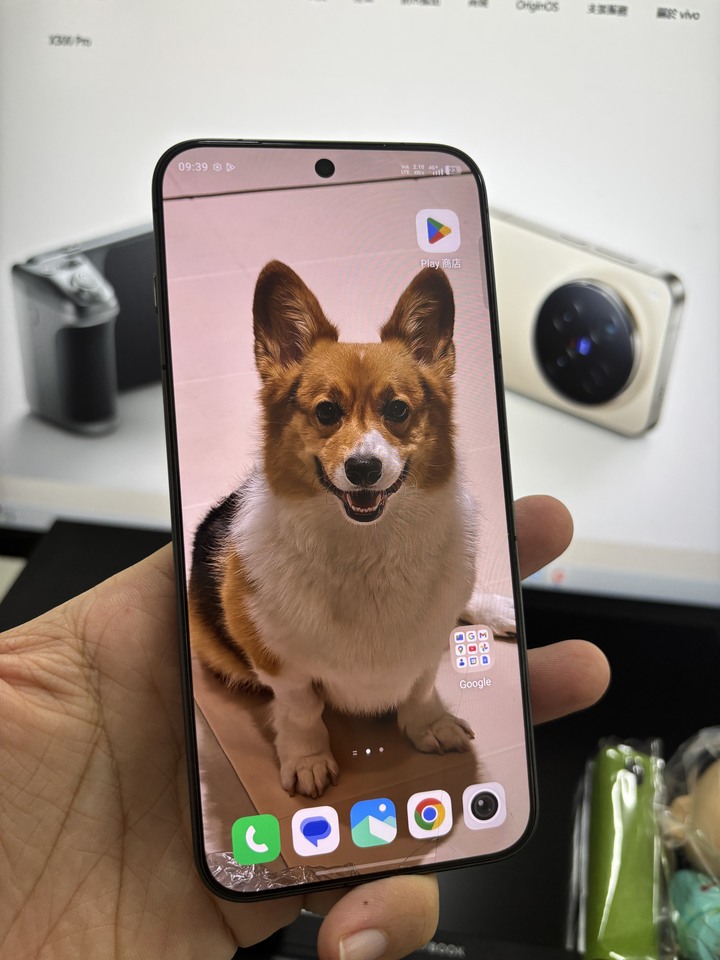 VIVO X300 PRO 16+512G 台版 保固26/12