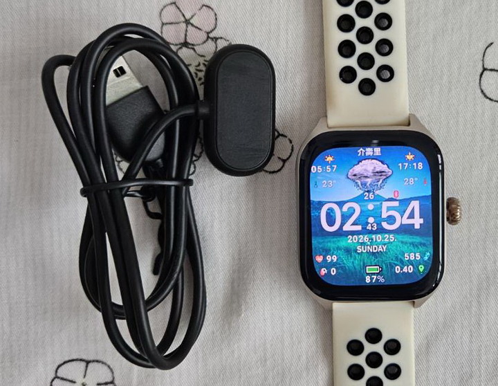 AMAZFIT GTS4 智能手錶_陸版簡体字