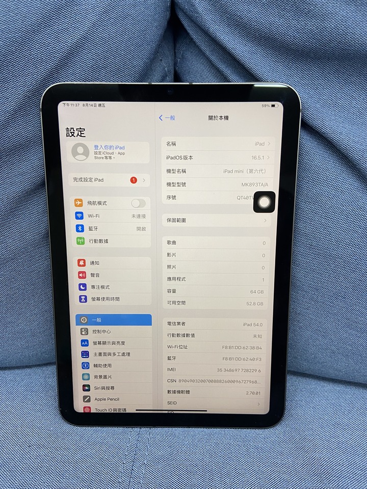 插卡通話版 Apple IPad Mini 6 64G Mini6 蘋果平板 二手LTE版 電池85% 金色 TC6VW
