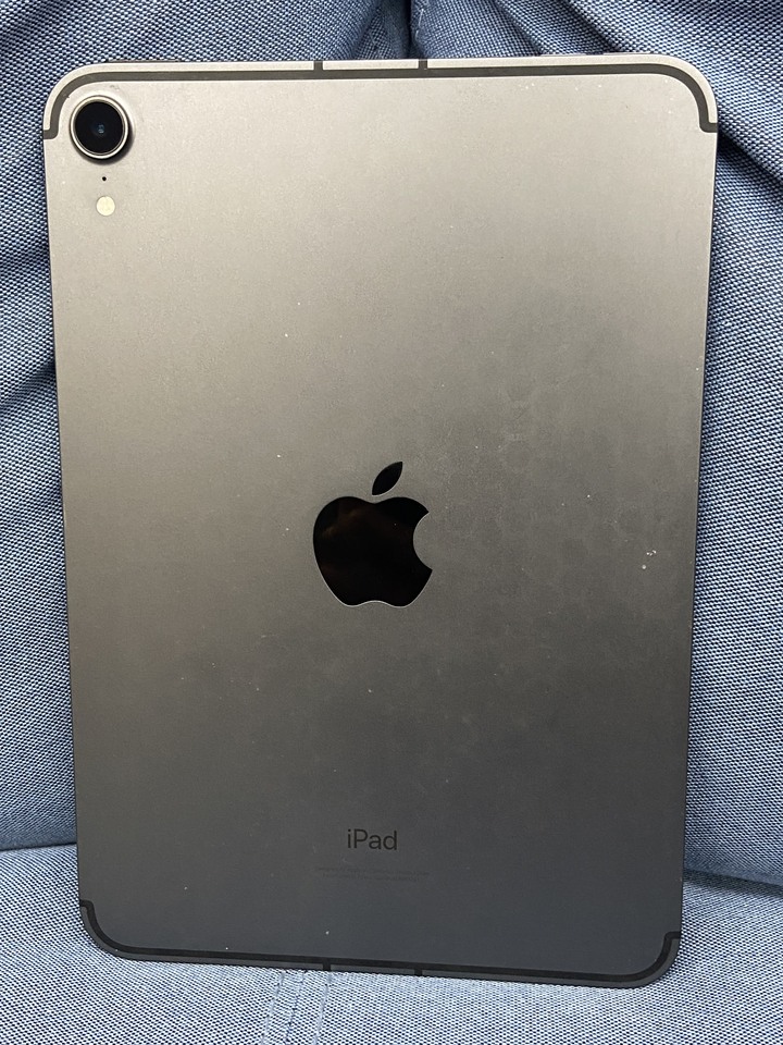 插卡通話版 Apple IPad Mini 6 64G Mini6 蘋果平板 二手LTE+WIFI版 J6JWK1