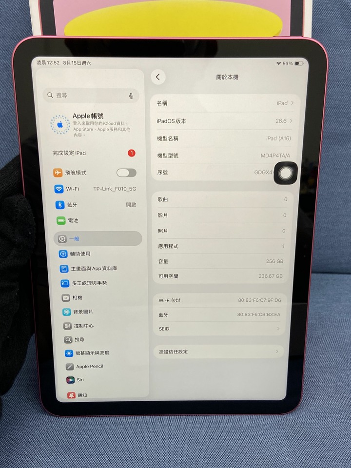 保固內Apple IPad 11 (A16)256G蘋果 大螢幕平板 IPad11 紅色 台灣公司貨