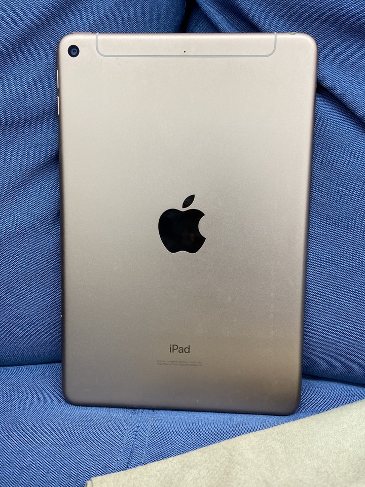 插卡通話版 Apple IPad Mini5 Mini 5 64G 粉金色 二手蘋果平板7.9吋 4G版 DMPC3