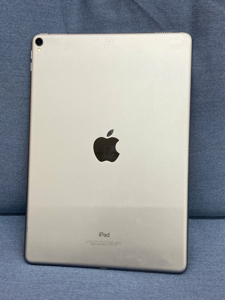 Apple IPad Pro 10.5吋 256G WIFI版 二手蘋果平板 大螢幕平板 2018 螢幕輕微亮點