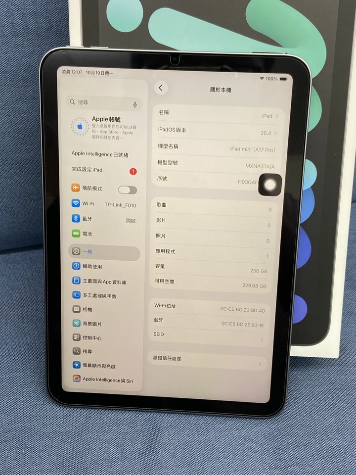 (螢幕刮傷)Apple IPad Mini 7 256G Mini7蘋果平板 WIFI版 黑灰色 台灣公司貨 H93G4