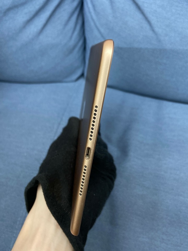 插卡通話版 Apple IPad Mini5 Mini 5 64G 粉金色 二手蘋果平板7.9吋 4G版 PC217K