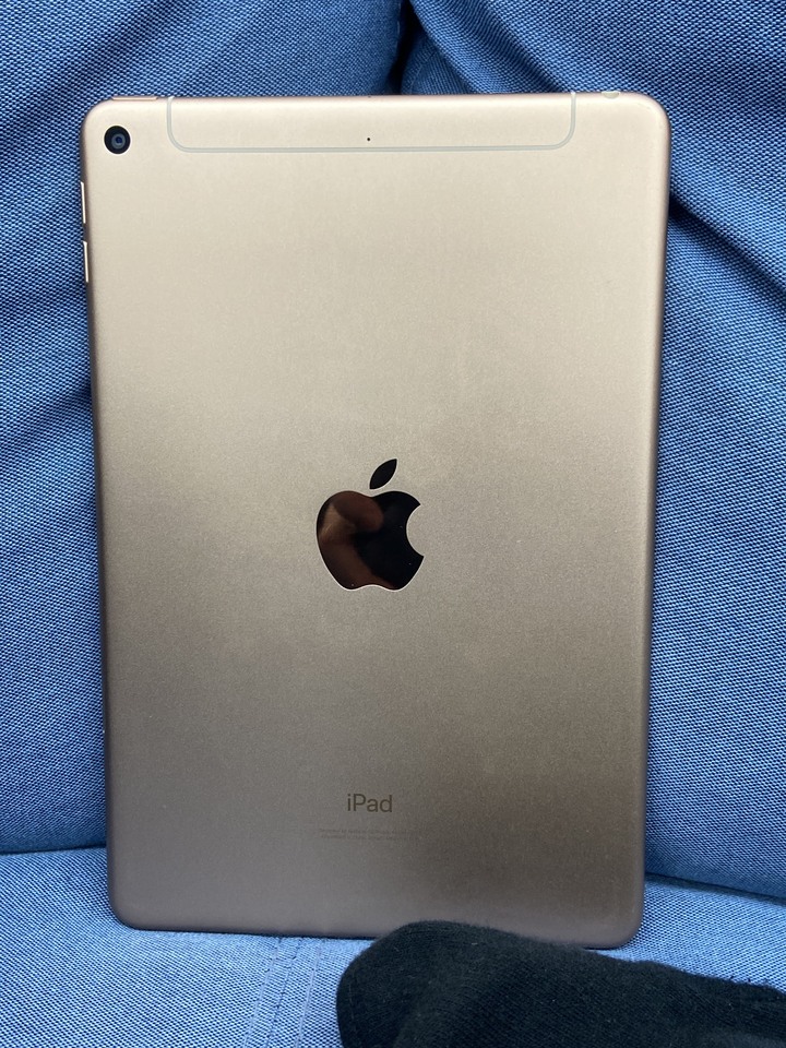 插卡通話版 Apple IPad Mini5 Mini 5 64G 粉金色 二手蘋果平板7.9吋 4G版 PC217K