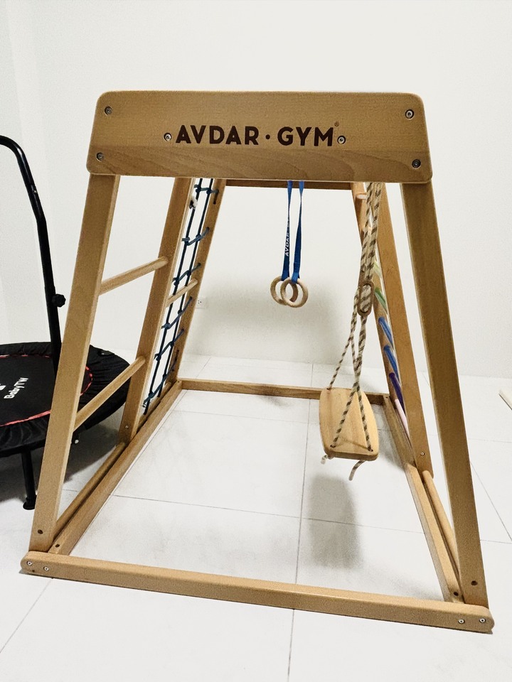 AVDAR GYM攀爬架