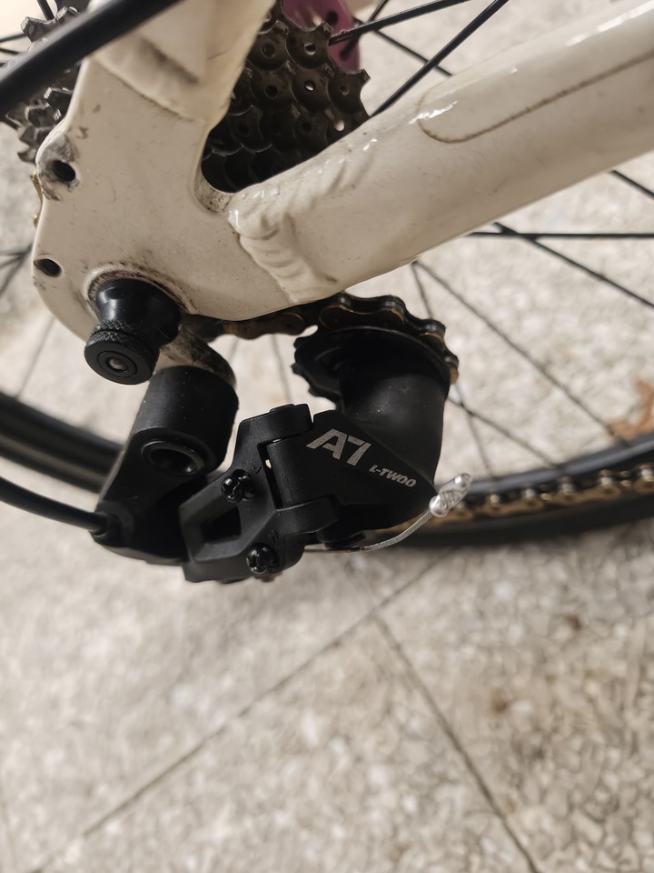 Louis Garneau LGS mv1 6061鋁合金小徑車 改22吋 451 HASSNS PRO7 花鼓 Litepro 一體大盤中空BB 改C夾 LTWOO 藍圖A7 8速變速