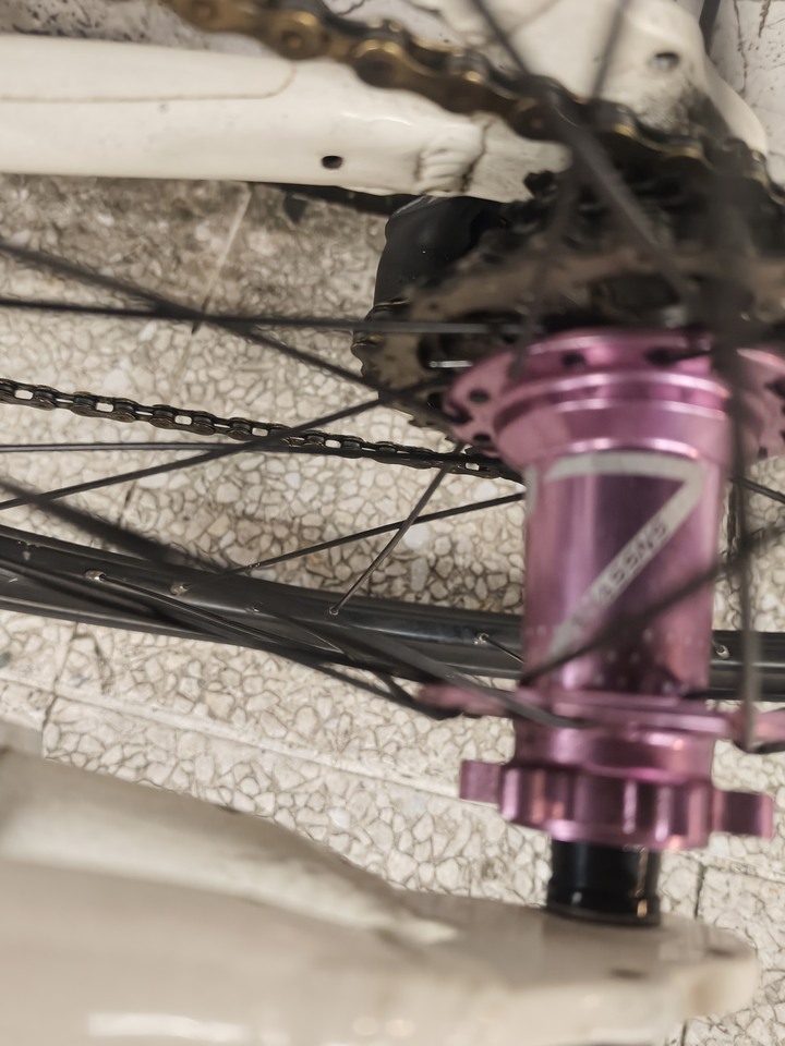 Louis Garneau LGS mv1 6061鋁合金小徑車 改22吋 451 HASSNS PRO7 花鼓 Litepro 一體大盤中空BB 改C夾 LTWOO 藍圖A7 8速變速