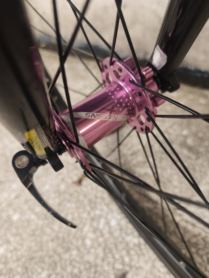 Louis Garneau LGS mv1 6061鋁合金小徑車 改22吋 451 HASSNS PRO7 花鼓 Litepro 一體大盤中空BB 改C夾 LTWOO 藍圖A7 8速變速